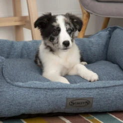 Scruffs Manhattan Box Bett -Heimtierbedarf Verkäufe scruffs manhattan box bed 209507 0500 none