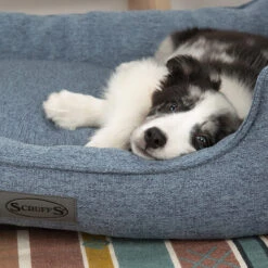 Scruffs Manhattan Box Bett -Heimtierbedarf Verkäufe scruffs manhattan box bed 209510 0500 none