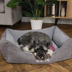 Scruffs Thermal Box Bed -Heimtierbedarf Verkäufe scruffs thermal box bed 190825 0500 none