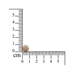 Geria Comfort - Kleine Haustiere -Heimtierbedarf Verkäufe sensipharm geria comfort kleine huisdieren 174883 0500 none