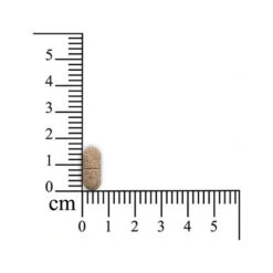 Sensipharm Inconti Stop Hund -Heimtierbedarf Verkäufe sensipharm inconti stop hond 174532 0500 none