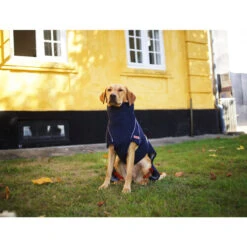 Siccaro WetDog SupremePro -Heimtierbedarf Verkäufe siccaro wetdog supremepro 20 216994 0500 none