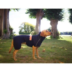 Siccaro WetDog SupremePro -Heimtierbedarf Verkäufe siccaro wetdog supremepro 20 216995 0500 none