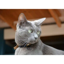 Spotted! Pro Dog & Cat 8 Spotted! Pro Dog & Cat -Heimtierbedarf Verkäufe spotted pro dog cat 166915 0500 none