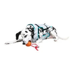 Suitical DRY Cooling Vest -Heimtierbedarf Verkäufe suitical dry cooling vest 149882 0500 none