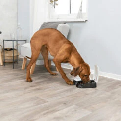 Trixie Doppel-Futterautomat TX2 -Heimtierbedarf Verkäufe trixie dubbele voederautomaat tx2 170914 0500 none