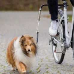 Trixie Biker-Set -Heimtierbedarf Verkäufe trixie fiets set 178264 0500 none