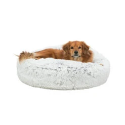 Trixie Kissen Harvey -Heimtierbedarf Verkäufe trixie kussen harvey 170536 0500 none