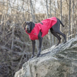 Trixie Regenjacke Vimy -Heimtierbedarf Verkäufe trixie regenjas vimy 204854 0500 none