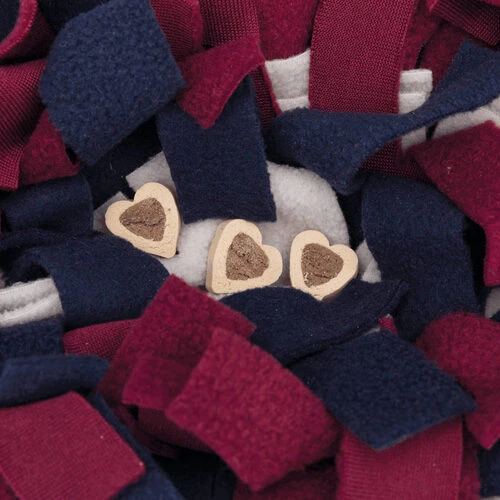 Trixie Schnüffelteppich 6 Trixie Schnüffelteppich – Bild 4