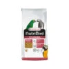 Versele-Laga Nutribird P19 Original 1 Versele-Laga Nutribird P19 Original -Heimtierbedarf Verkäufe versele laga nutribird p19 original kweek 201542 0500 none