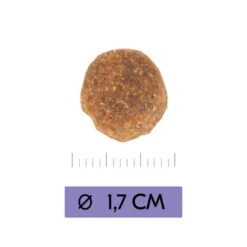 Vetality Adult Maxi - Hundefutter -Heimtierbedarf Verkäufe vetality adult maxi hondenvoer 213656 0500 none