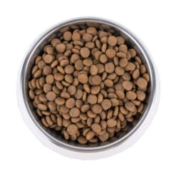 Vetality Hypoallergenic - Hundefutter -Heimtierbedarf Verkäufe vetality hypoallergenic hondenvoer 195278 0500 none