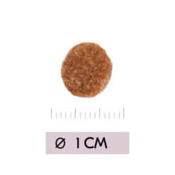 Vetality Renal - Katzenfutter -Heimtierbedarf Verkäufe vetality renal kattenvoer 195458 0500 none