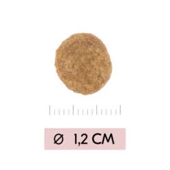 Vetality Skin Support - Hundefutter -Heimtierbedarf Verkäufe vetality skin support hondenvoer 195452 0500 none