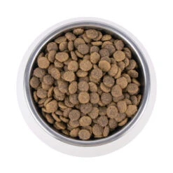 Vetality Urinary - Katzenfutter -Heimtierbedarf Verkäufe vetality urinary kattenvoer 195269 0500 none