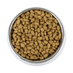 Vetality Weight Management - Hundefutter 9 Vetality Weight Management - Hundefutter -Heimtierbedarf Verkäufe vetality weight management hondenvoer 195227 0500 none
