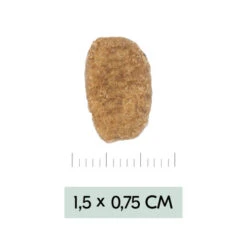 Vetality Weight Management - Hundefutter 8 Vetality Weight Management - Hundefutter -Heimtierbedarf Verkäufe vetality weight management hondenvoer 195455 0500 none