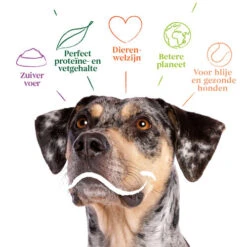 Yarrah - Bio Trockenfutter Vega Getreidefrei -Heimtierbedarf Verkäufe yarrah bio droogvoer hond vega graanvrij 201212 0500 none