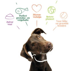 Yarrah - Getreidefreies Trockenfutter Bio 9 Yarrah - Getreidefreies Trockenfutter Bio -Heimtierbedarf Verkäufe yarrah droogvoer hond graanvrij bio 201170 0500 none