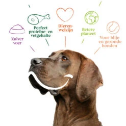 Yarrah - Trockenfutter Sensitiv Mit Huhn Und Reis Bio -Heimtierbedarf Verkäufe yarrah droogvoer hond sensitive bio 199148 0500 none