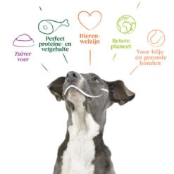 Yarrah - Hundefutter In Soße Rind Mit Petersilie & Thymian Bio -Heimtierbedarf Verkäufe yarrah natvoer hond kuipje chunks met rund bio 201050 0500 none