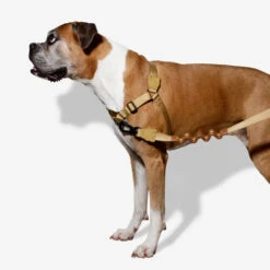 Zee.Dog Soft Walk Harness -Heimtierbedarf Verkäufe zeedog soft walk harness 200678 0500 none