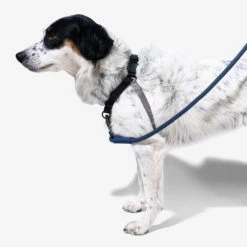 Zee.Dog Soft Walk Harness -Heimtierbedarf Verkäufe zeedog soft walk harness 200684 0500 none