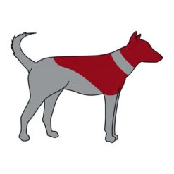 ZenPet Pro Collar 14 ZenPet Pro Collar -Heimtierbedarf Verkäufe zenpet pro collar 193865 0500 none