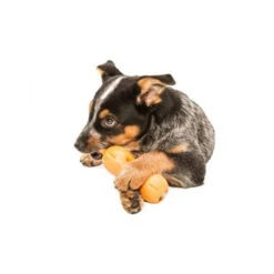 Zogoflex Qwizl -Heimtierbedarf Verkäufe zogoflex qwizl 136852 0500 none